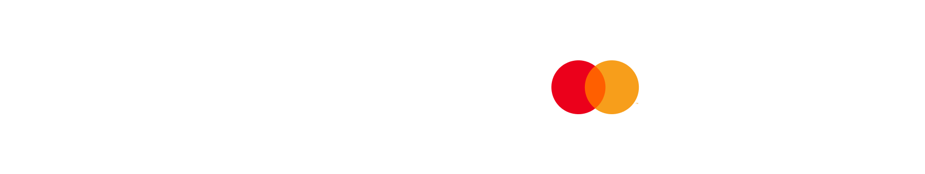 netopia logo
